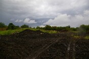 PTX23-07 050.jpg