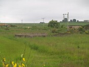 P6223403ed.JPG