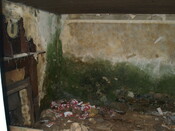 289164 953471 - Croft Internal.jpg