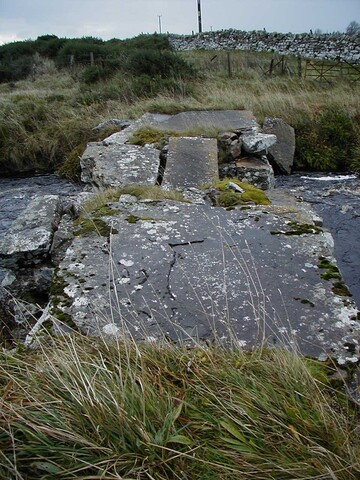Nov 2007.JPG