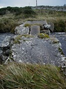 Nov 2007.JPG