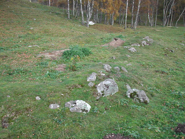 Av 13.JPG