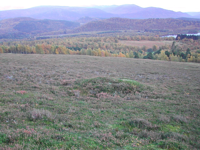 Av 2.JPG