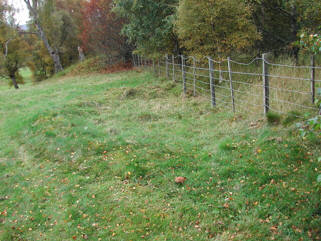 Av 20.JPG