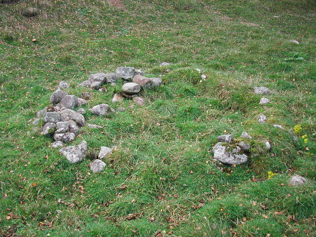 Av 4.JPG