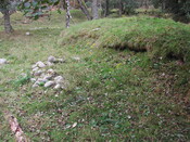 Av 6.JPG
