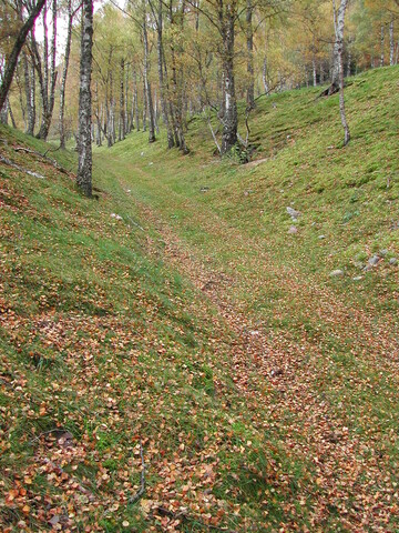 Av 8.JPG