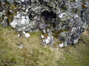 JL_003.jpg