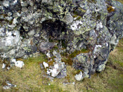 JL_004.jpg