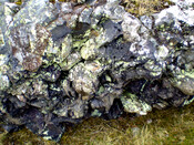 JL_005.jpg