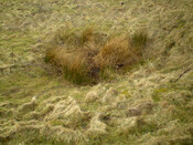 JL_007.jpg