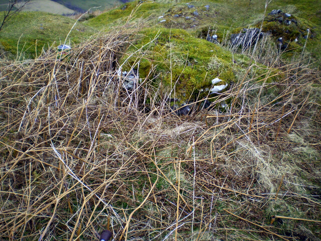 JL_008.jpg