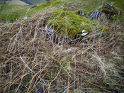 JL_008.jpg