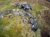 JL_009.jpg