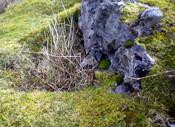 JL_010.jpg