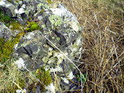 JL_011.jpg