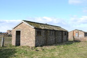DSC_0675.jpg