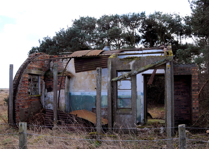 DSC_0701.jpg