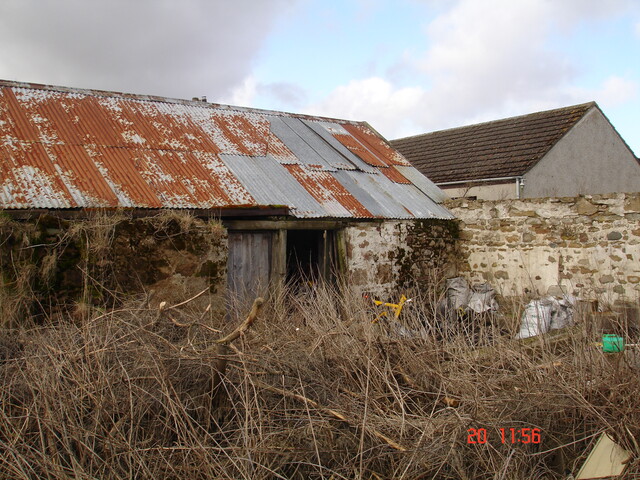 DSC01508.JPG