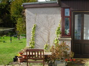 DSC01514.JPG