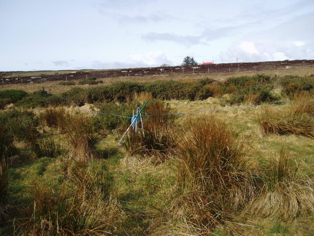 mid clyth watching brief 001.jpg
