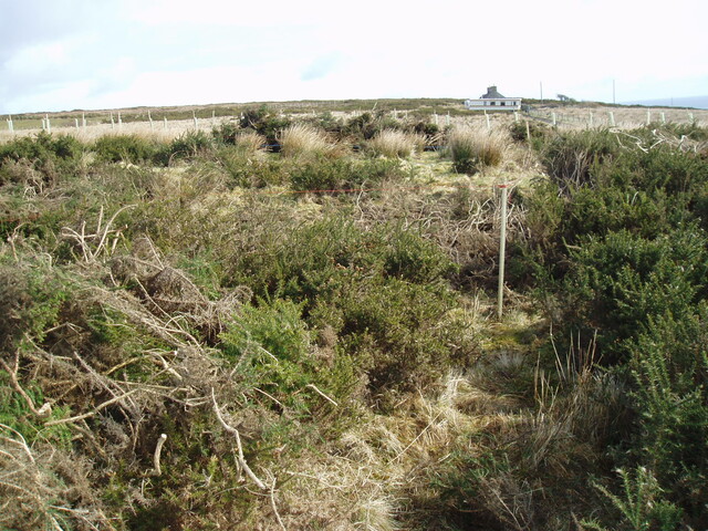 mid clyth watching brief 003.jpg