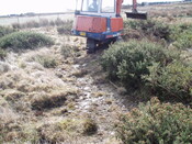 mid clyth watching brief 004.jpg