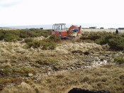 mid clyth watching brief 005.jpg