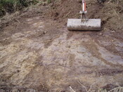 mid clyth watching brief 010.jpg