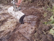 mid clyth watching brief 011.jpg