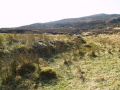P4132841.JPG