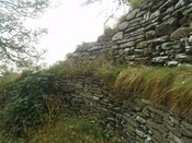 PA104248.jpg