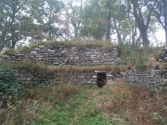 PA104250.jpg