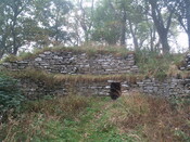 PA104250.jpg
