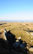 DSC_0206.jpg