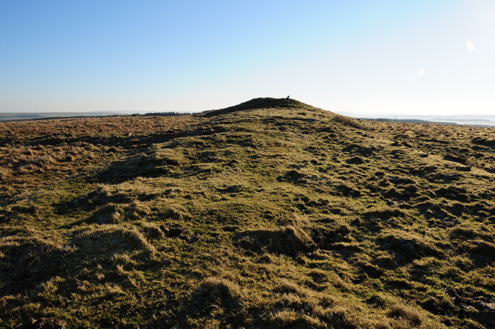 DSC_0208.jpg