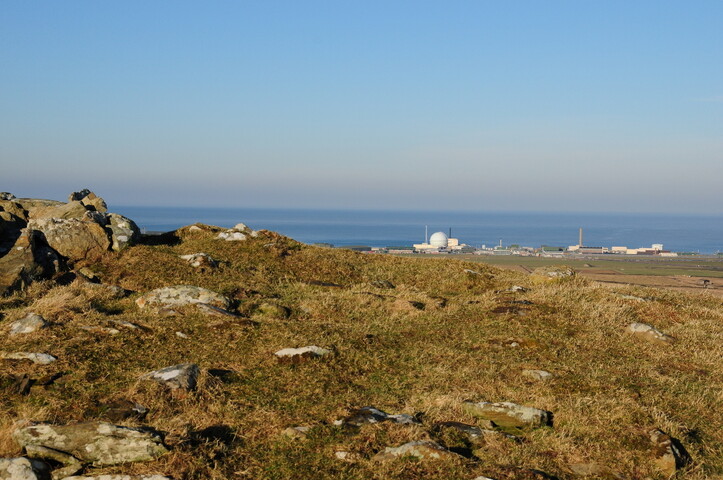 DSC_0215.jpg