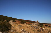DSC_0046.jpg