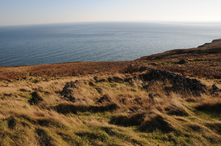 DSC_0048.jpg