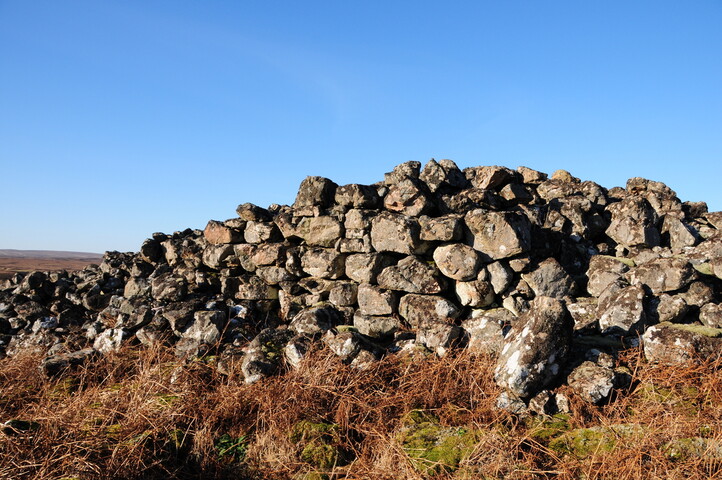 DSC_0311.jpg