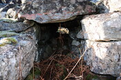 DSC_0312.jpg