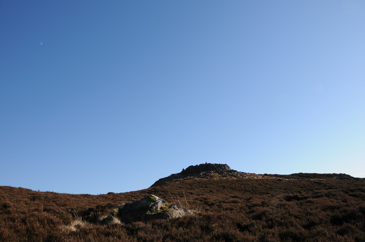 DSC_0327.jpg