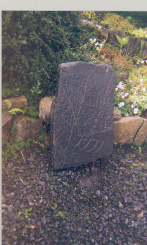 WR_ 001.jpg