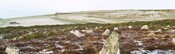 ND23NE0006 - Hill O Many Stanes_09.JPG