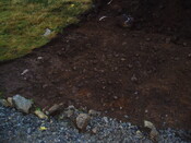 gothleck wb 003.jpg