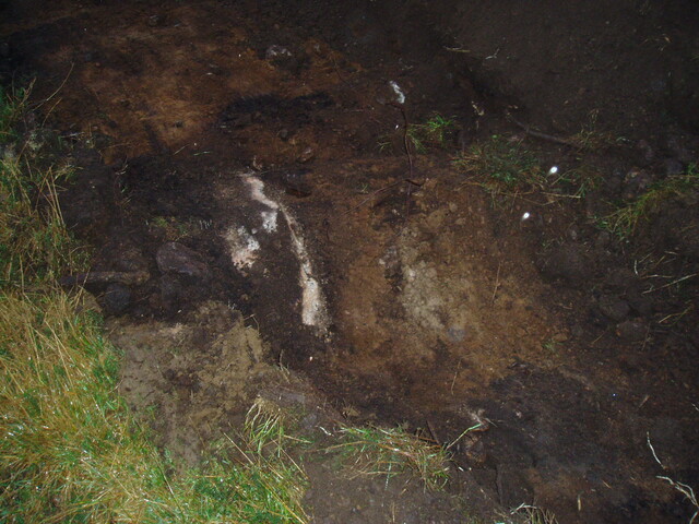 gothleck wb 004.jpg