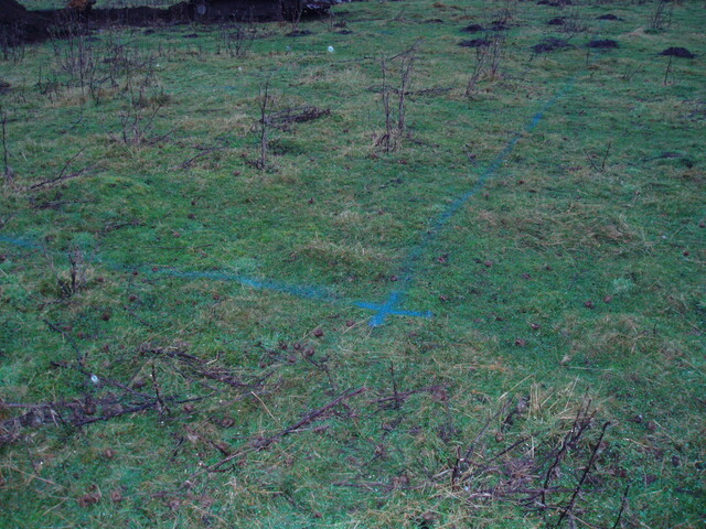 gothleck wb 009.jpg