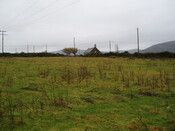 gothleck wb 010.jpg