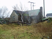 gothleck wb 024.jpg