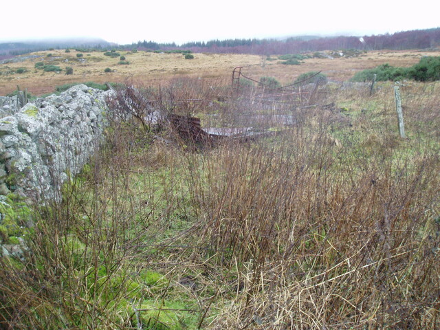 gothleck wb 025.jpg